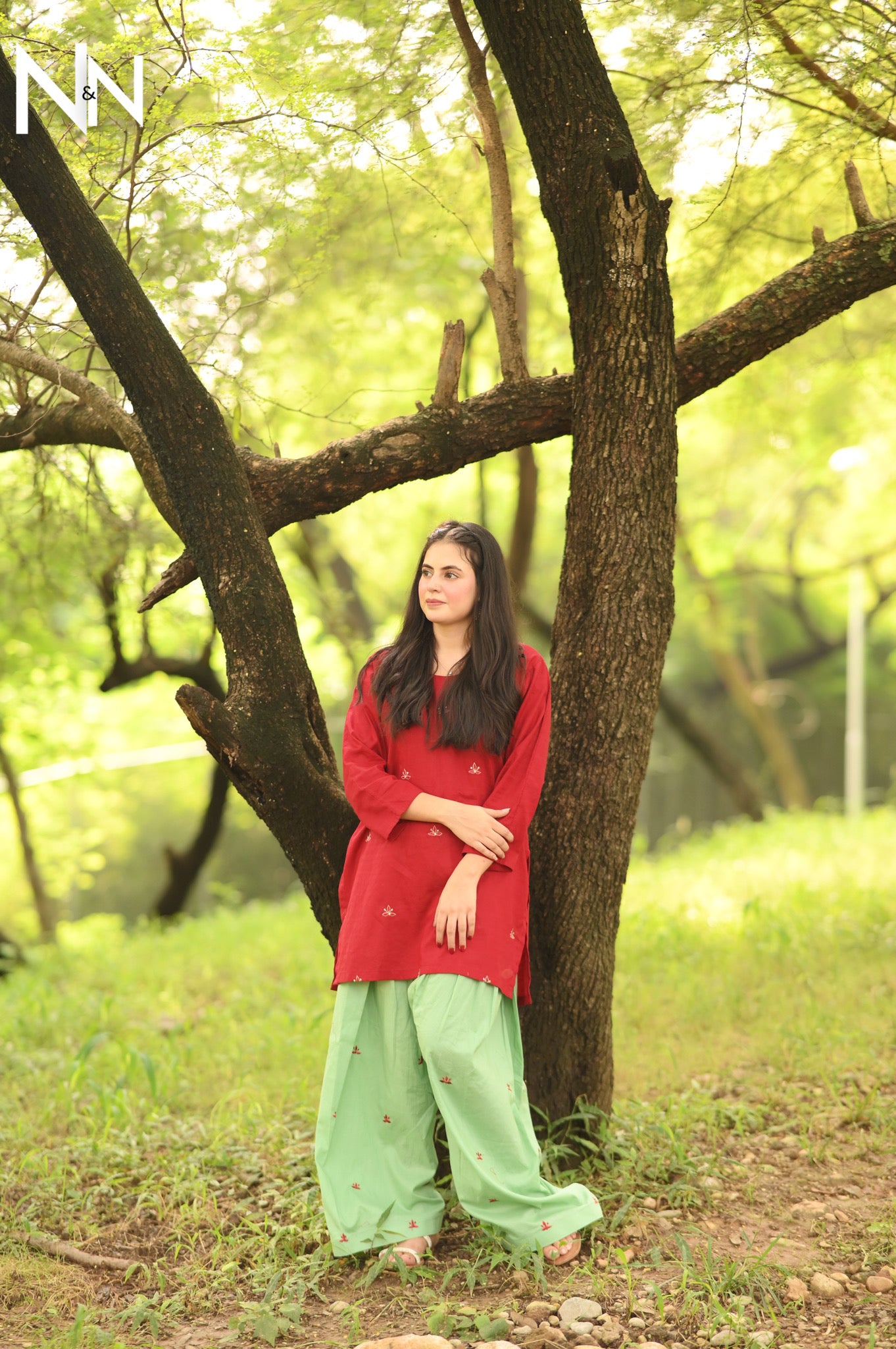 Effortless Elegance-Basic Series