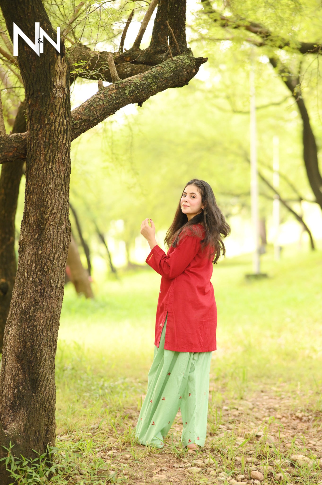Effortless Elegance-Basic Series
